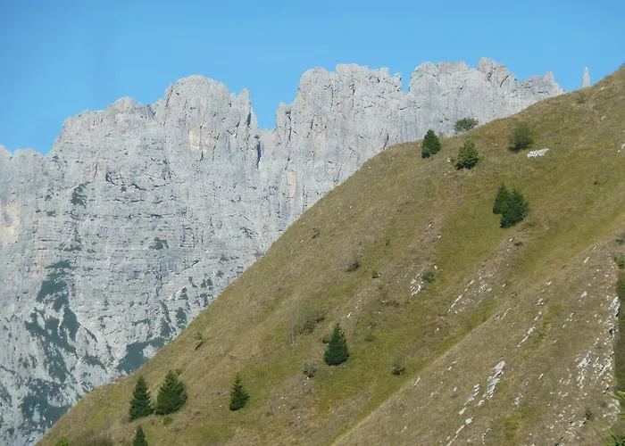 Giardini Dell'ardo Belluno