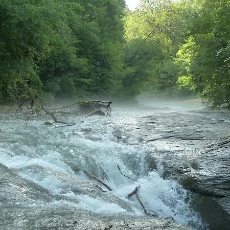 迪纳罗花园住宿加早餐旅馆 住宿加早餐酒店