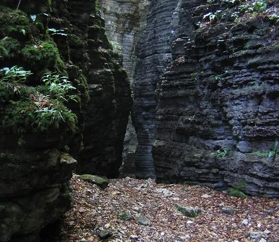 Giardini Dell'ardo 3*